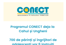 Programul CONECT mai aproape de părinții și îngrijitorii de adolescenți din Cahul și Ungheni